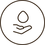 Ayurveda